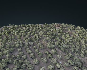 analisi multisprettrale sul pistacchio di bronte